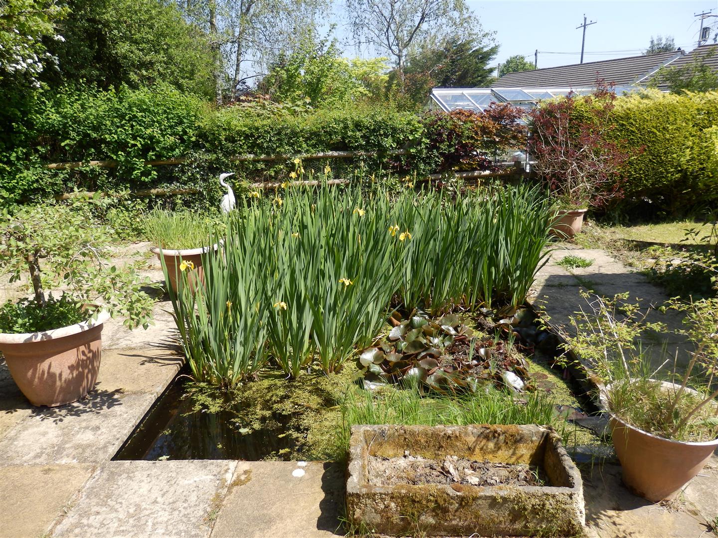 WILDLIFE POND